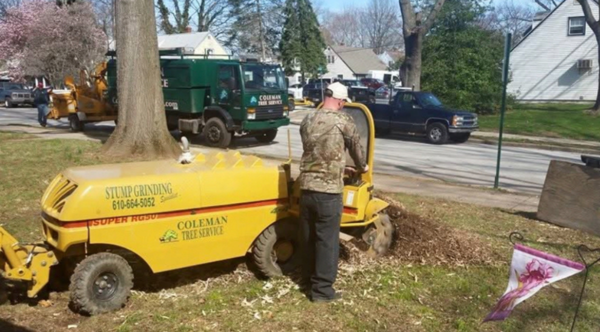 Stump Grinding