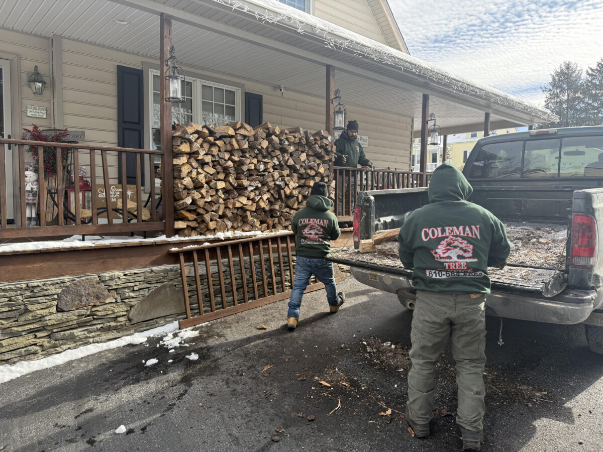 Firewood and Mulch